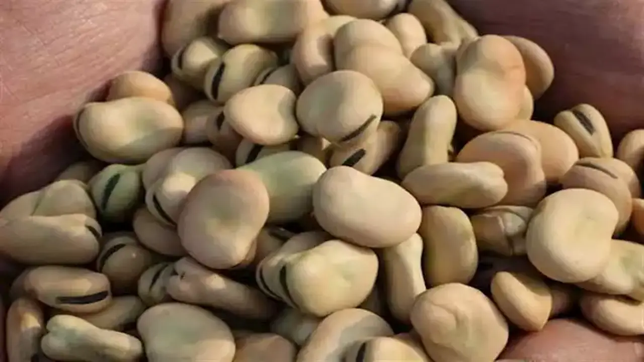 قفزة في أسعار الفول والدقيق والزيت واللحوم بأسواق 7-3-2026 وسط تباين التكاليف
